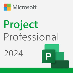 Microsoft Project 2024 Professional License