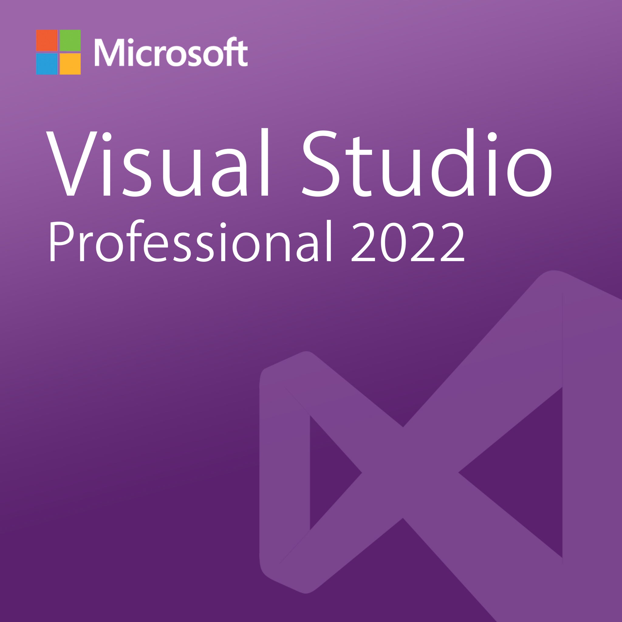 Microsoft Visual Studio Professional 2022 Vaneyo