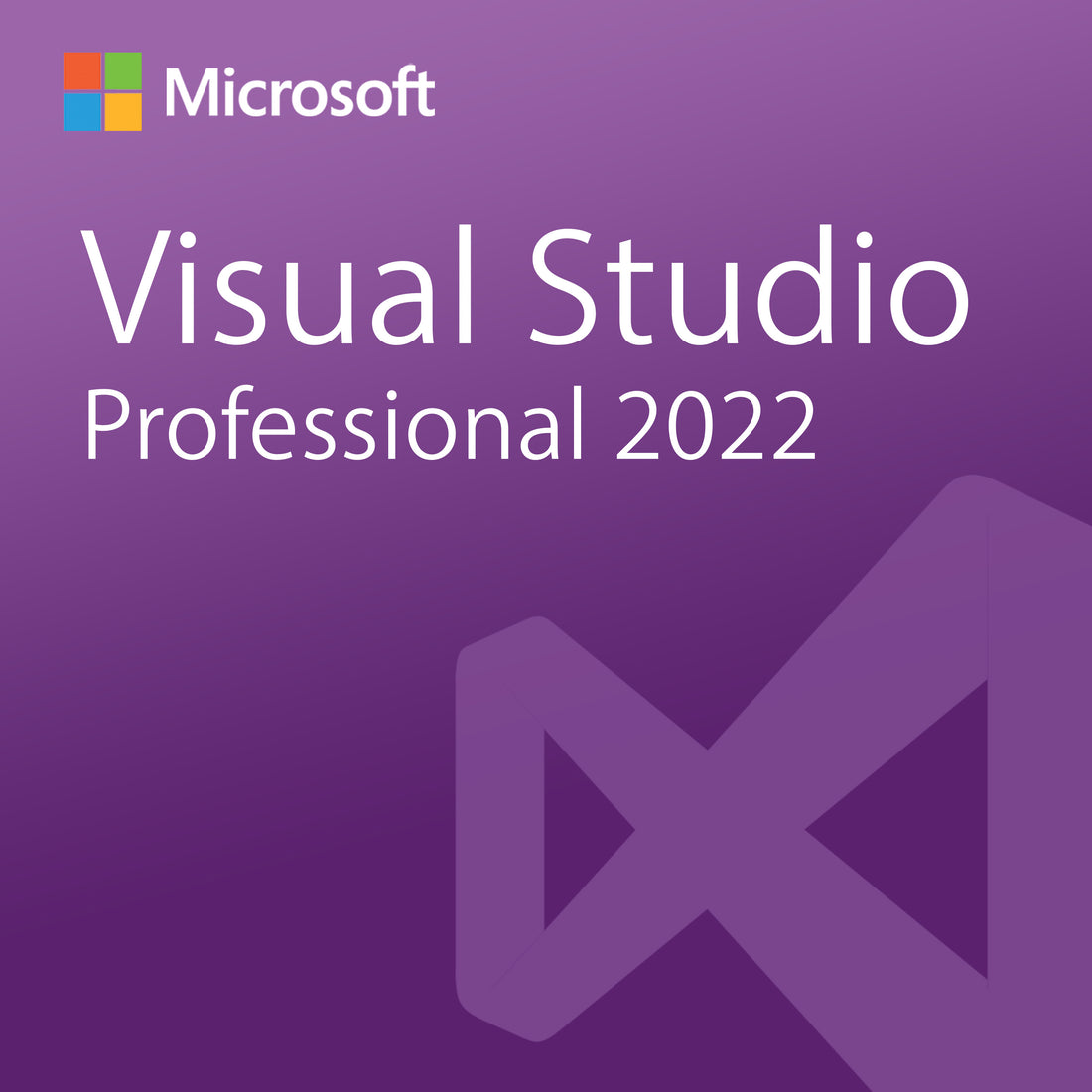 Visual Studio Professional 2022