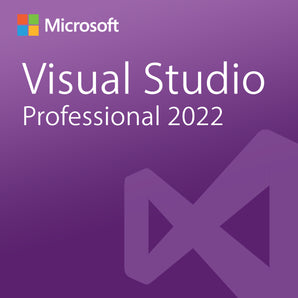 Microsoft Visual Studio Professional 2022 License