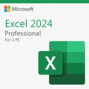 Microsoft Excel 2024 Professional