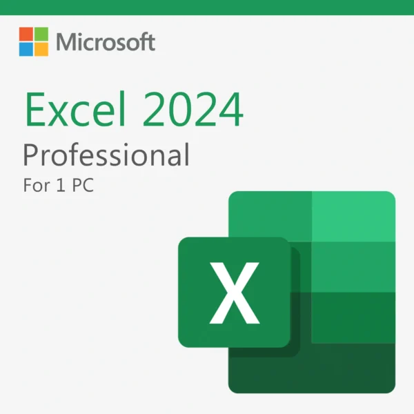 Microsoft Excel 2024 Professional