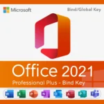 Microsoft Office 2021 Professional Plus Bind License