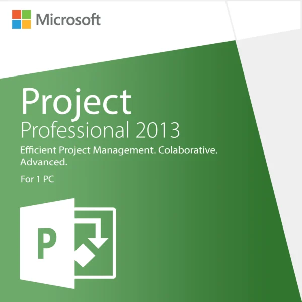 Microsoft Project 2013 Professional