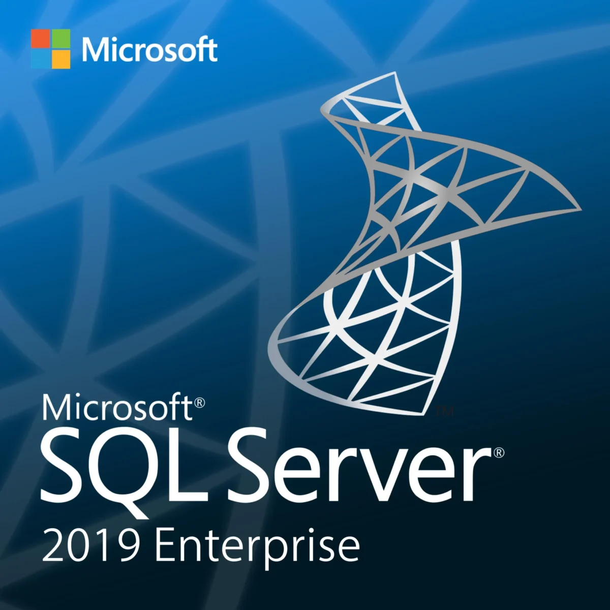 Microsoft SQL Server 2019 Enterprise