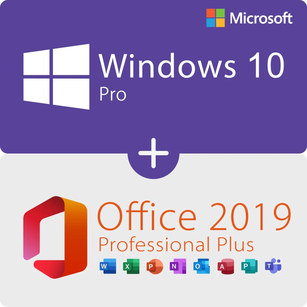 Microsoft Windows 10 Professional + Office 2019 Professional Plus License