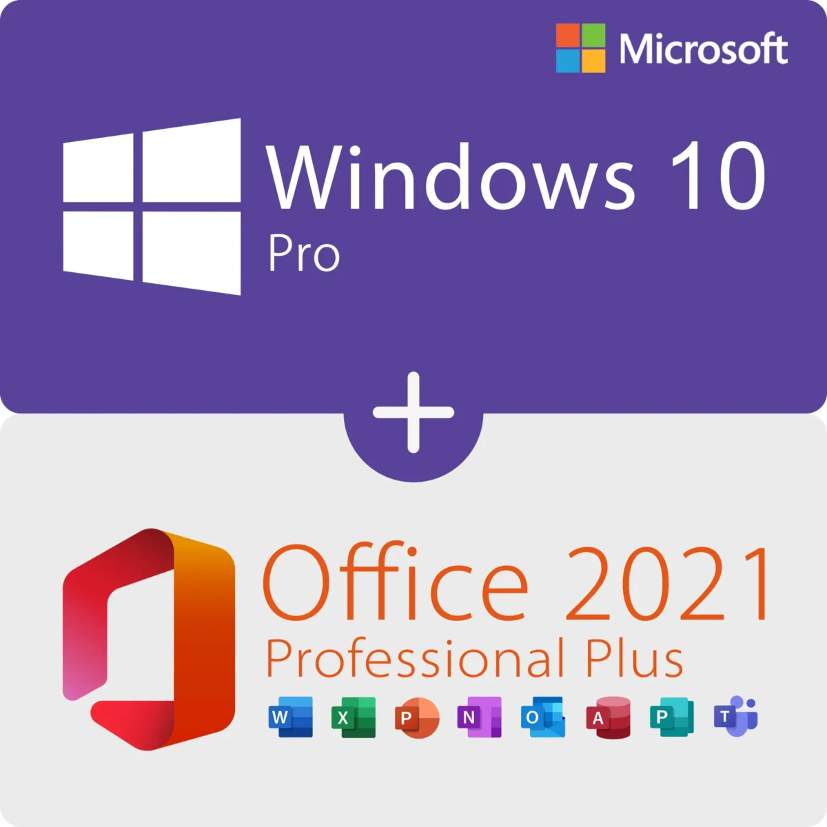Microsoft Windows 10 Professional + Office 2021 Professional Plus
