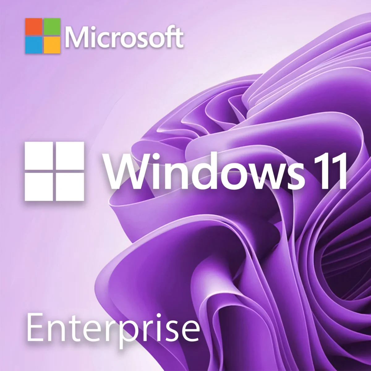 Microsoft Windows 11 Enterprise