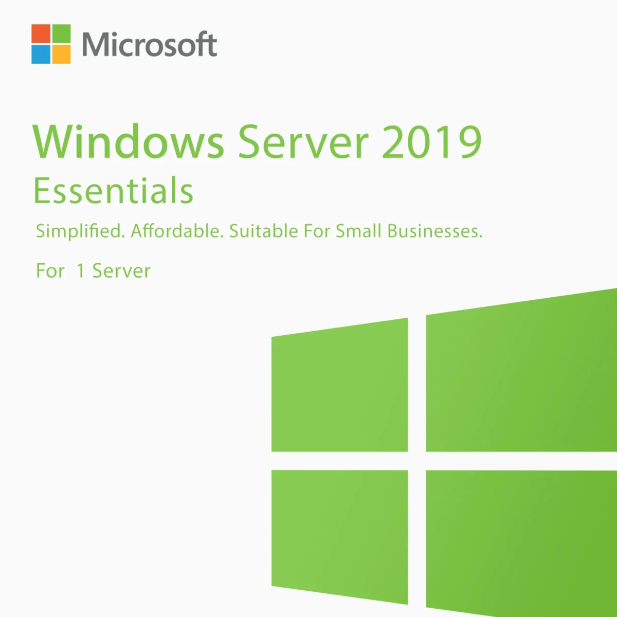 Microsoft Windows Server 2019 Essentials