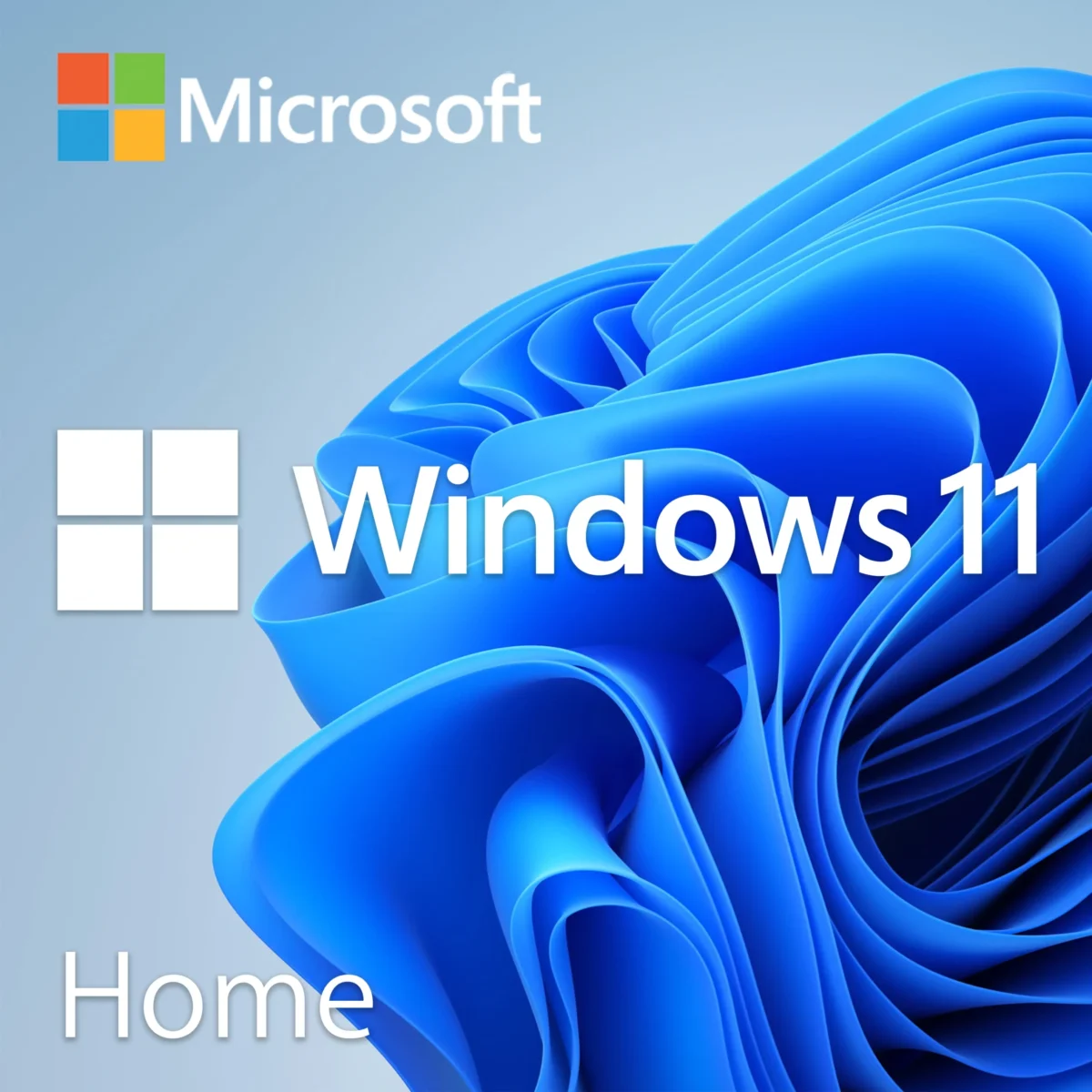 Microsoft Windows 11 Home