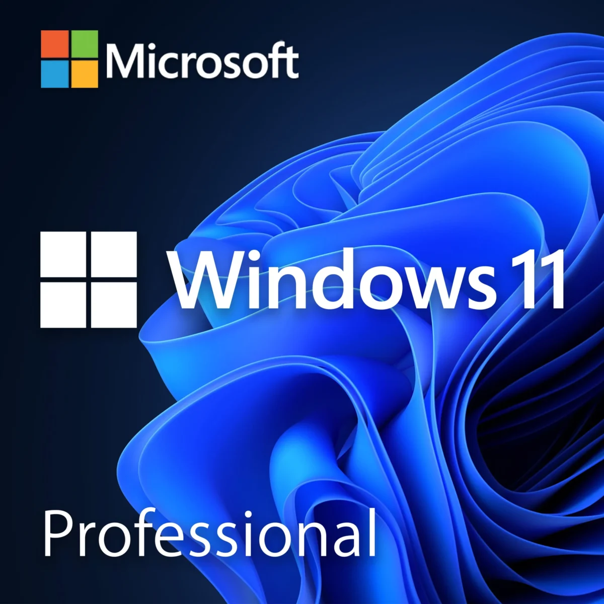 Microsoft Windows 11 Professional