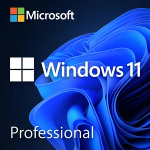 Microsoft Windows 11 Professional