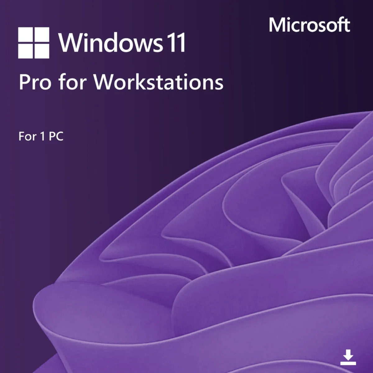 Microsoft Windows 11 Pro For Workstations