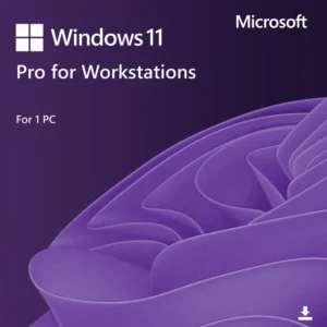 Microsoft Windows 11 Pro For Workstations