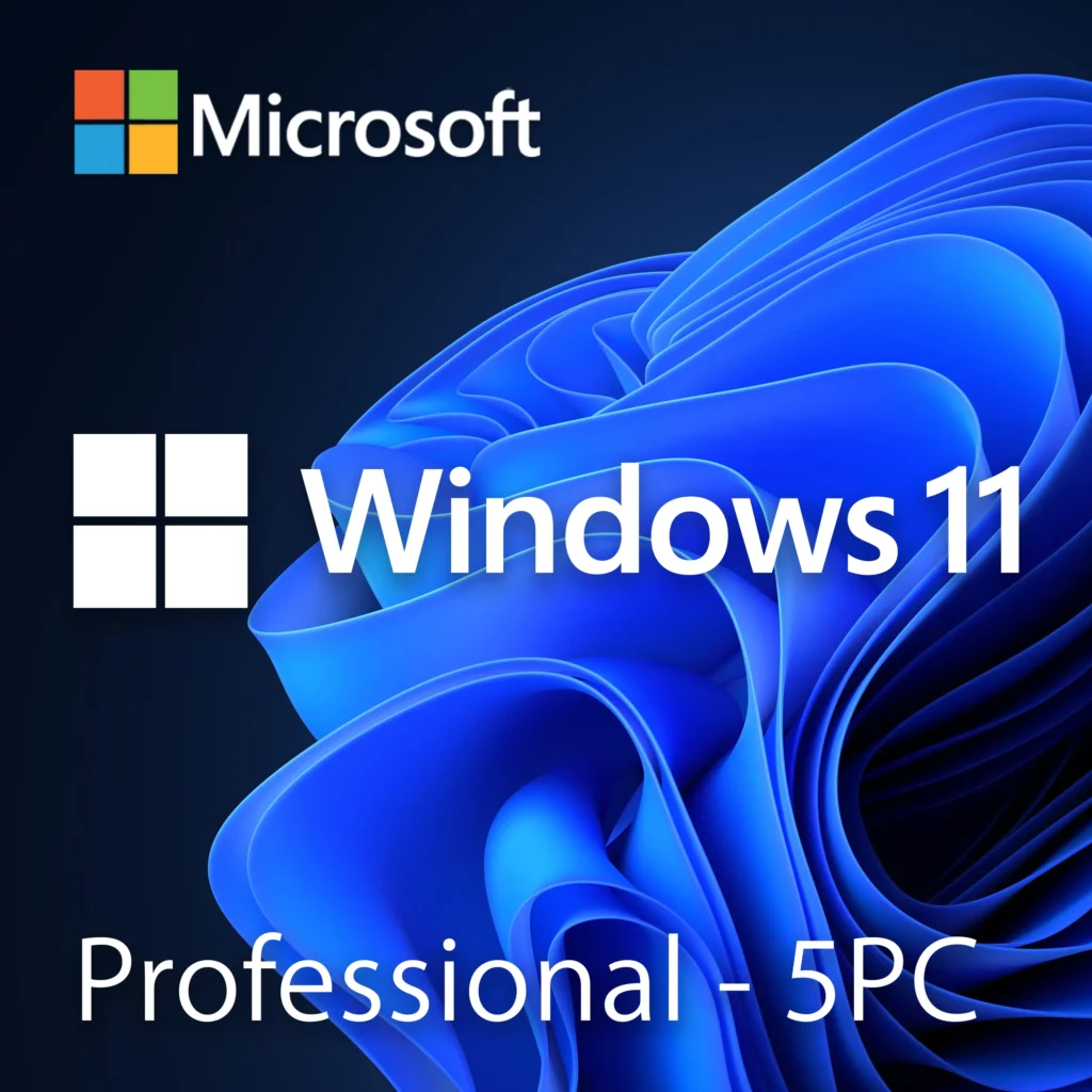 Microsoft Windows 11 Professional